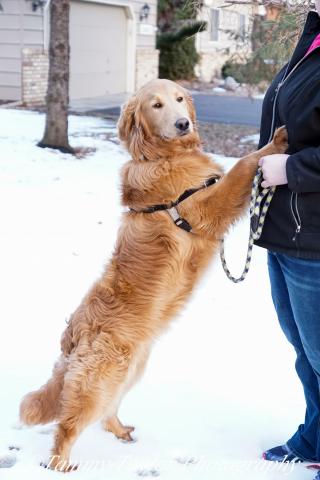 I give the bestest hugs. Meet me to find out!