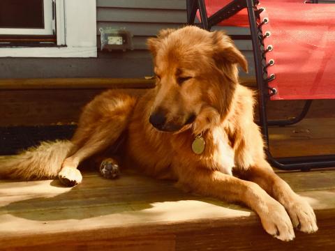 Taking in some sun.