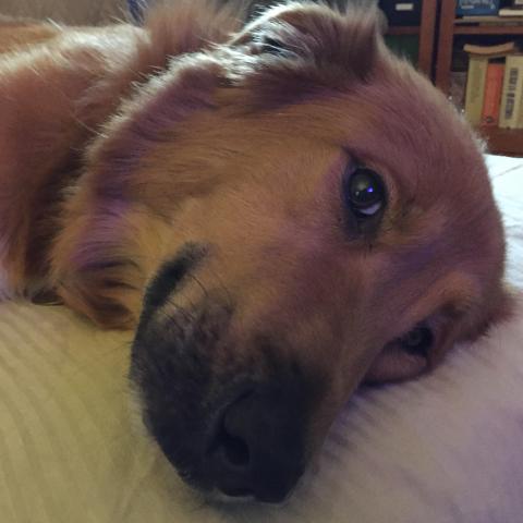 I’m awake.