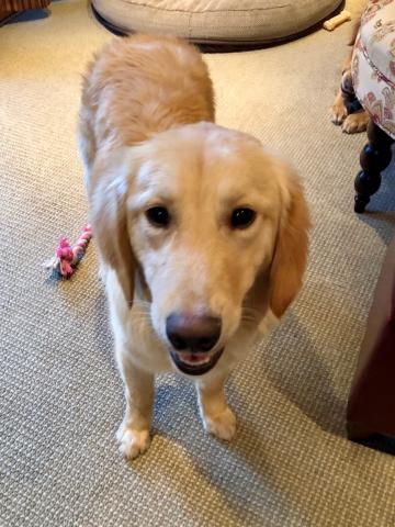 Who wants to play with me?