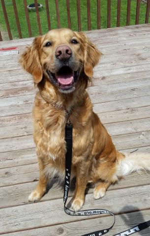 I'm a good boy!