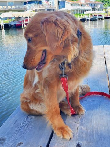 Hallie is not sure what to think of all this water