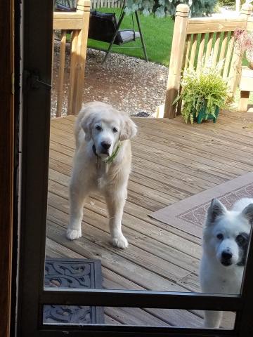 Can we come in now?
