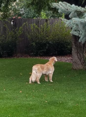 Scoping out the area!