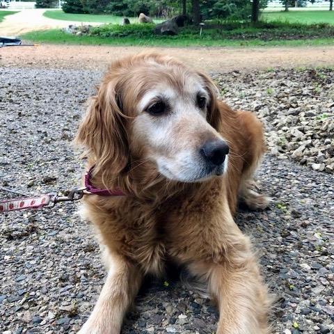 Holly enjoying the outdoors