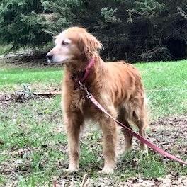 Holly taking in the smells of spring
