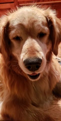 Jake 19-171