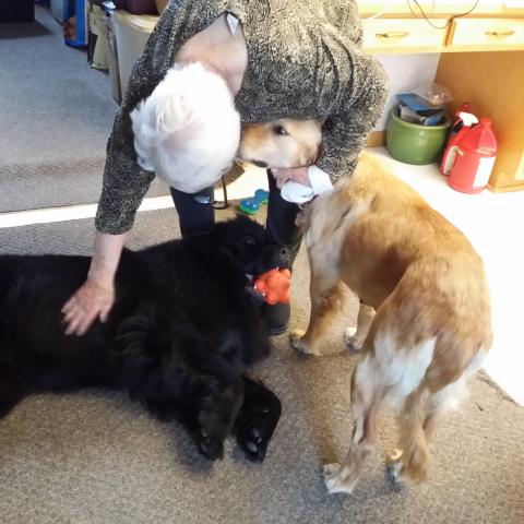Human attention is awesome!