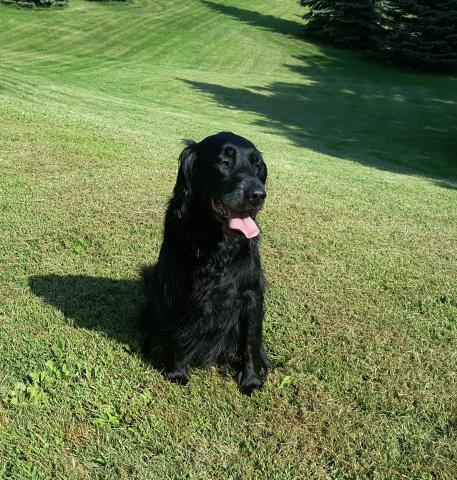 Joey 08-251