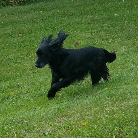 Joey 08-251