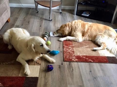 King (left) and Cooper