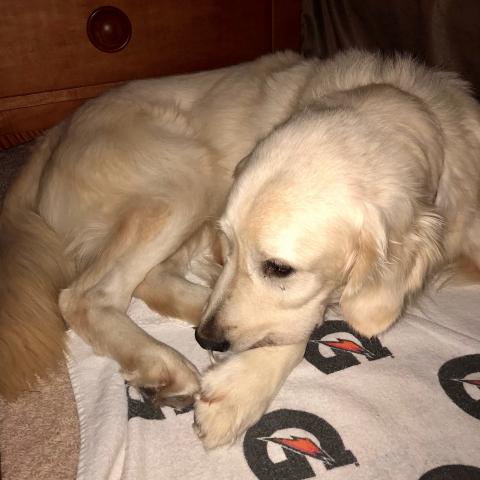 Being adorable is tiring. Night-night.