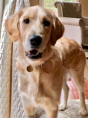 I'm still handsome as ever.