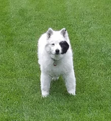 Maggie