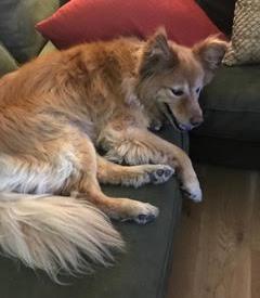 Maggie 05-323