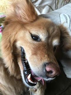 Maggie 05-323