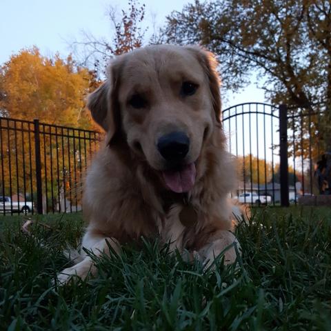 Max saying thanks!