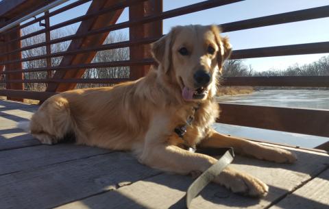 Max enjoying his outdoor adventure