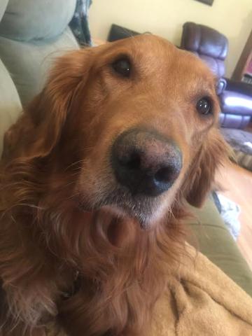 Handsome boy