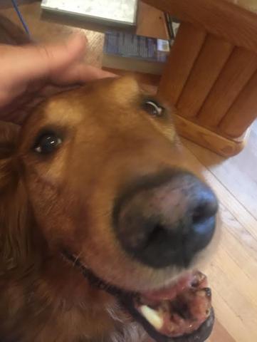 I'm much happier now that I'm getting love.