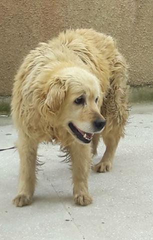 Miki on the day of departure in Turkey