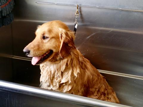 Noah's smile will melt your heart, even when he is getting a bath!