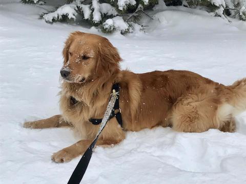 Noah loves the snow.