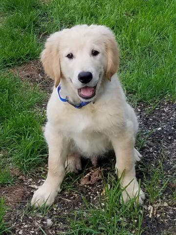 Happy to be living the Golden Life!