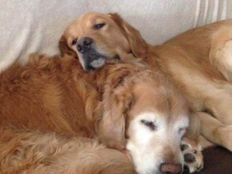 Snuggling with Tyson while he naps.