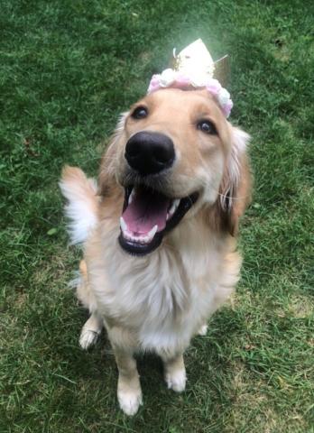 Sadie 19-184A