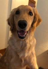 Sadie 19-184A