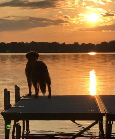 Sadie 15-069
