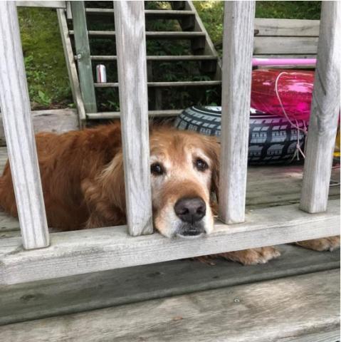 Sadie 15-069