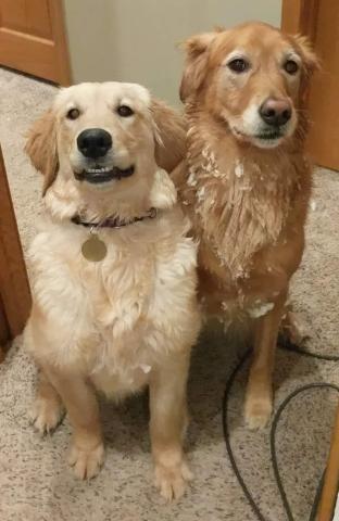 Hey look, I can smile! Sadie and me after wrestling in the snow.