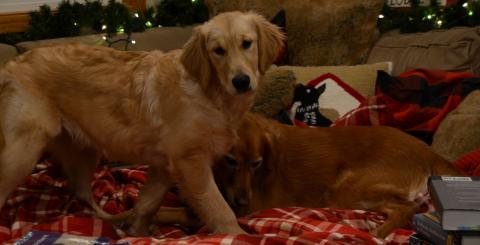 Here I am, photo-bombing Sadie's picture.