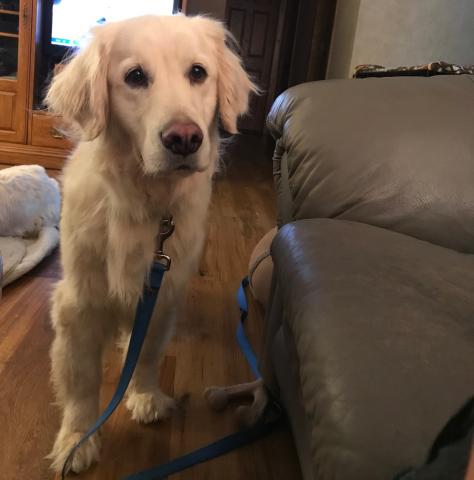 Skye coming to see me