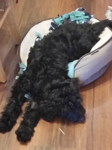 I'm too big for my bed.