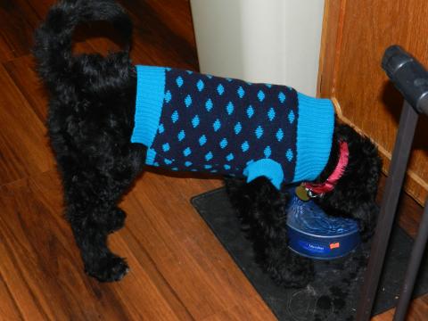 I have a new sweater!