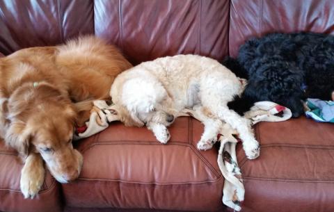 Taking my place with my buddies.