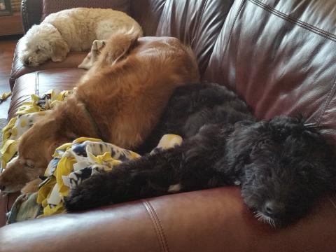 All together now