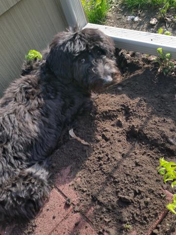 I'm a digger.