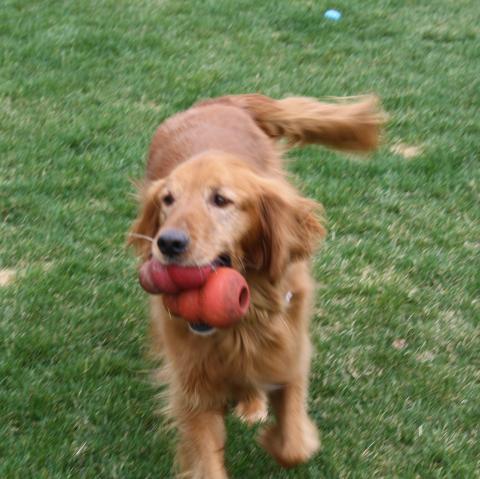 Sully 07-482