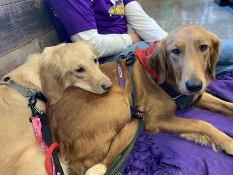 Tessy and Lena 19-206A