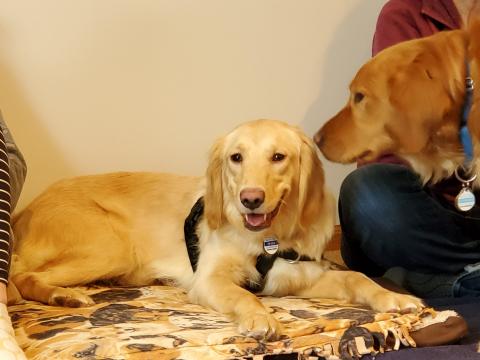 Tessy and Paddy