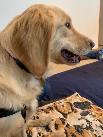 Tessy has a beautiful profile.