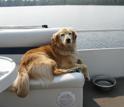 Gracie (Trixie) 09-333