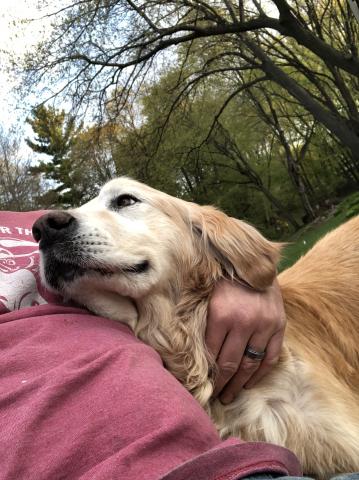 Hi, my name is Yukon, and I don’t understand personal space.