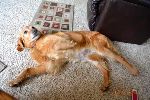 Making myself right at home.