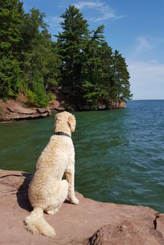 Enjoying the Lake Superior shoreline near Bayfield, WI.