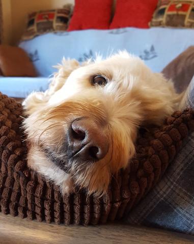 Or this face?